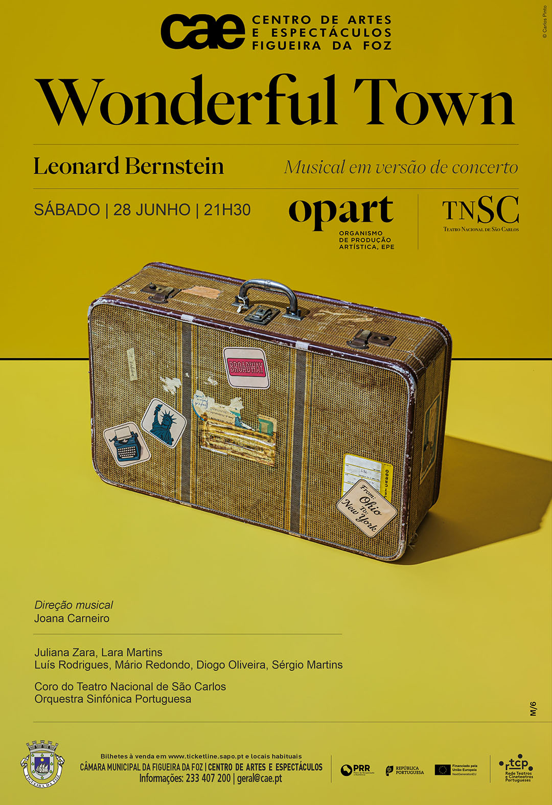Cartaz Wonderful Town web